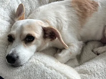 Short Equanimity Practice