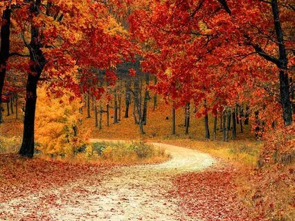 Short Evening Wind Down For Autumn Souls