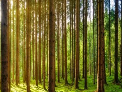 Short Grounding Anxiety Reset For Instant Calm