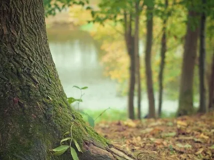 Short Grounding Meditation 