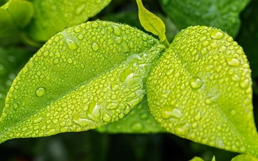 Short Grounding Meditation