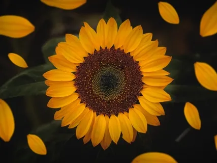 Grounding & Relaxing Into The Present Moment