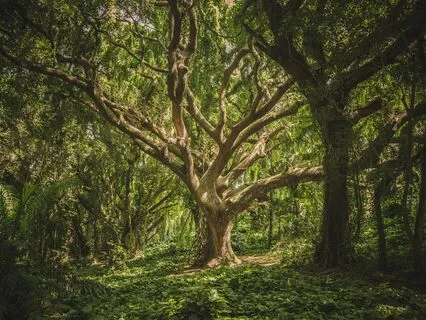 Short Grounding Meditation