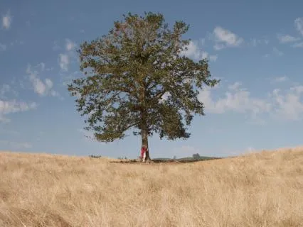 Short Grounding Practice