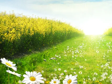 Short Guided Anti-Anxiety Practice