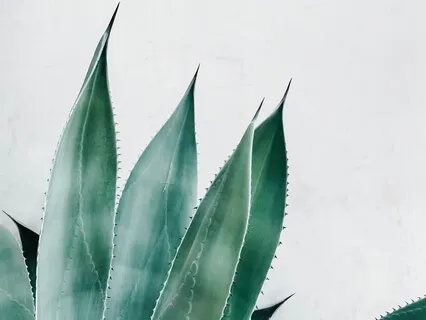 Short Guided Meditation for Beginners