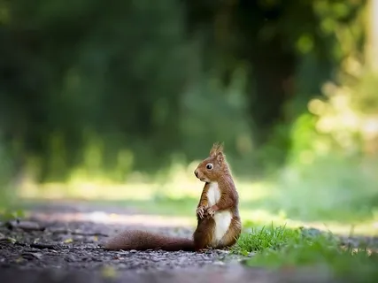 Short Grounding Practice