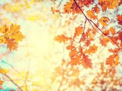 Short Guided Meditation For Self-Acceptance