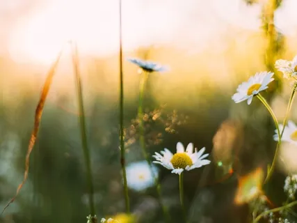 Short Guided Morning Meditation & Affirmations