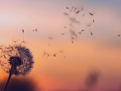 Mini Guided Relaxation For Quick Reset