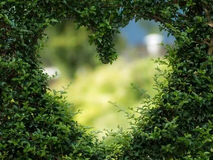 Self-Compassion Meditation