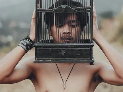 Short Insight: Learned Helplessness! (Self-Confidence)