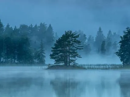 6 Minute Meditation For Carrying Guilt And Grief