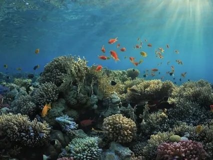 Short Intro To Somatic Tracking For Tinnitus