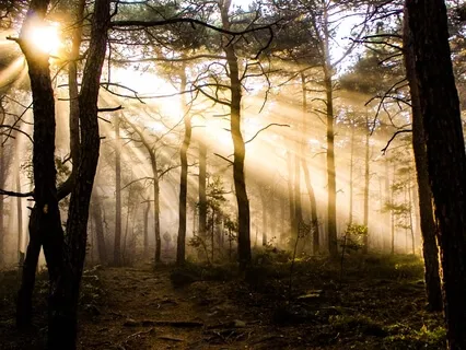 Short Introductory Breath Meditation