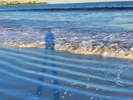 Short Life-Force Yoga Nidra Practice