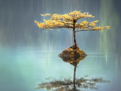 Short Loving Kindness Meditation