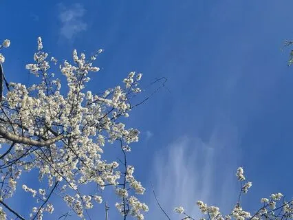 Short Loving-Kindness Meditation