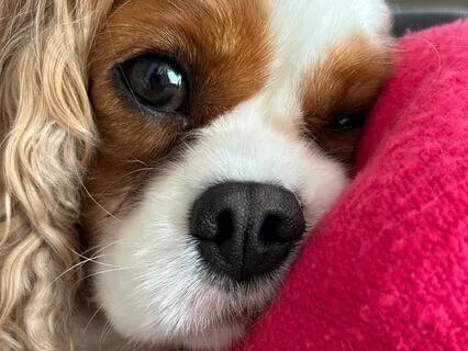 Short Loving-Kindness Practice