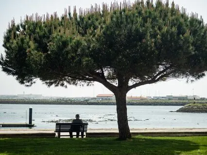 Short Lunch Break Body Scan