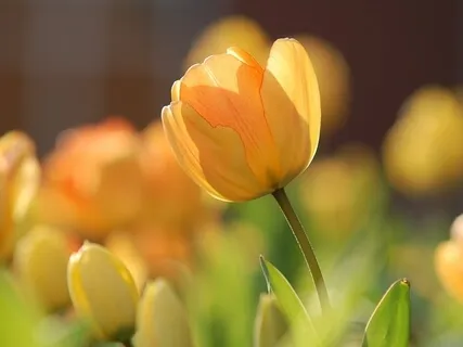 Morning Meditation - A Moment Of Mindlessness