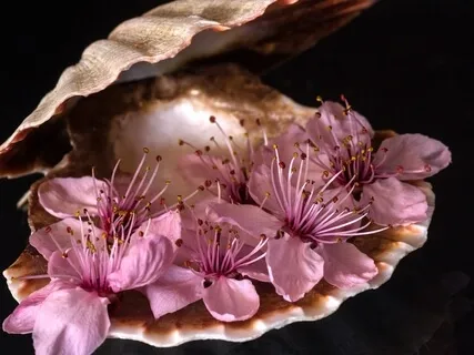 Short Meditation For A Beautiful Day