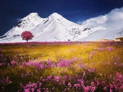 Short Meditation For Anxiety