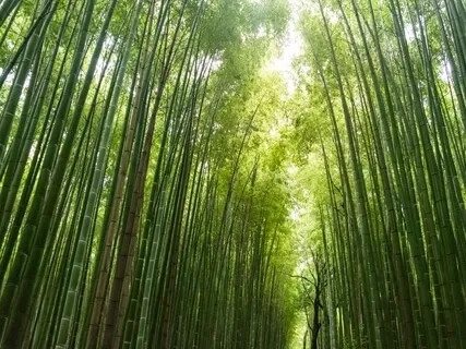 Short Practice For Busy People