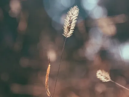 Relieve Fear & Uncertainty