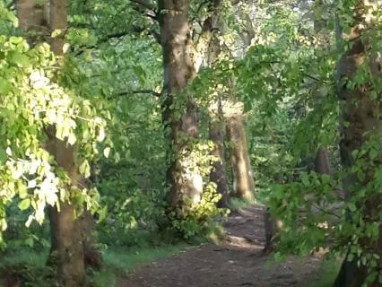 Short Meditation For Outdoors