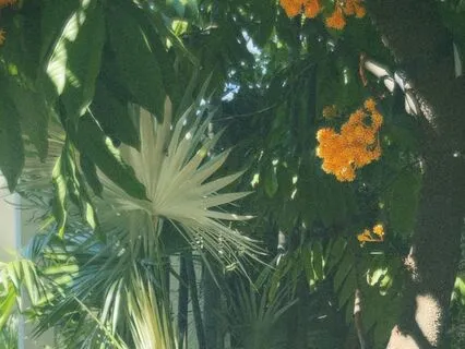 Short Meditation For The Senses