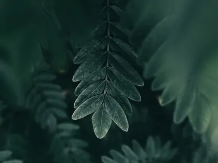 Feeling The Presence Of The Bodhi Mind In All