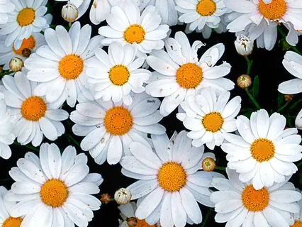 Short Meditation To Reduce Anxiety