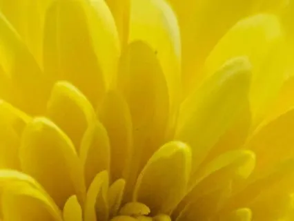 Short Meditation To Relax Your Mind And Body