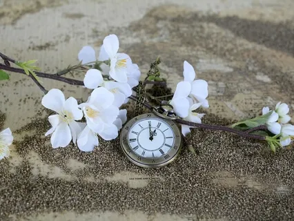 Short Meditations for Busy People