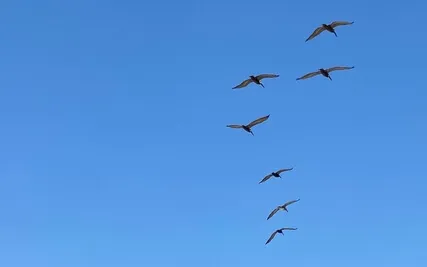 Short Mindfulness (Listening) Meditation - With Music