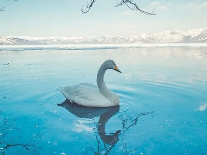 Find Ease With Mindfulness (No Music)