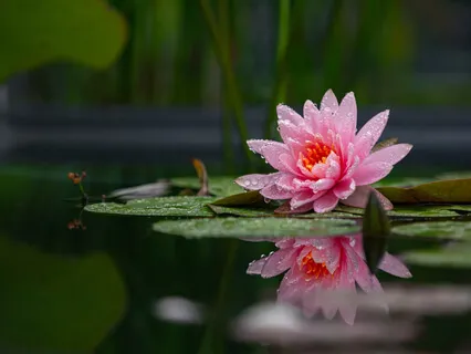 Short Mindfulness Meditation For Beginners