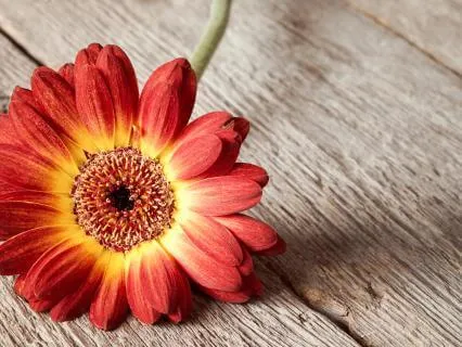 Short Mindfulness Practise