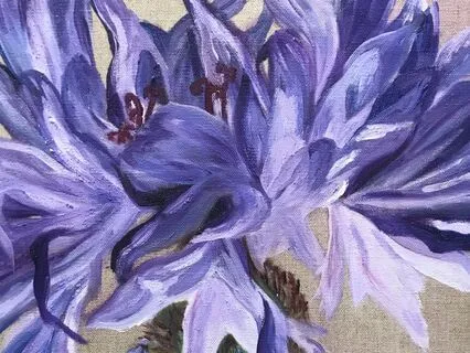 Short Morning Meditation - Setting Peaceful Intentions