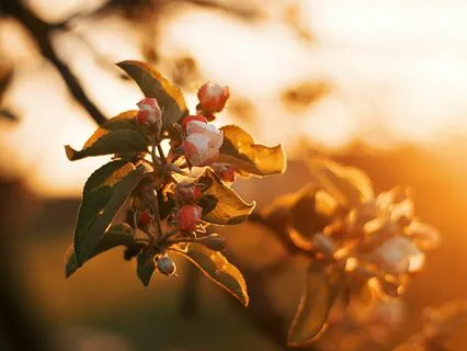 Short Morning Meditation