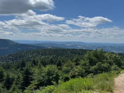 Short Morning Meditation