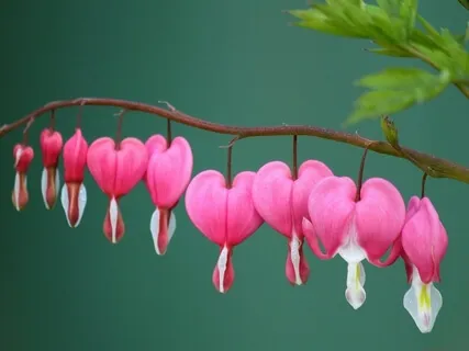 Short Mythical Story : A Cunning Plan