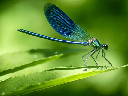 Short Mythical Story: Now That's Exciting