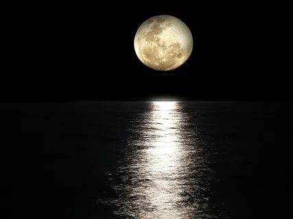 Short Mythical Story: Room For Reception