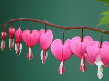 Short Mythical Story : The Collective