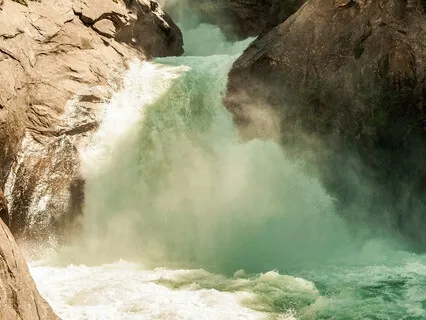 Short Nidra For The Motor Cortex