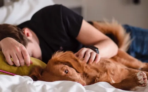 Short Nidra Nap-Energetic Reboot (Voice Only)