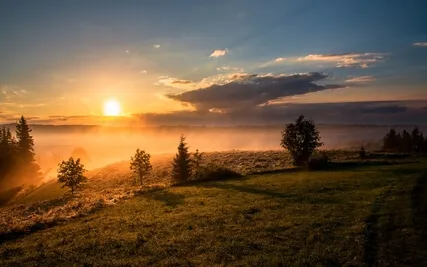 Short Pause For The Busy People