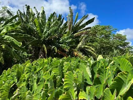 Short Pause For Stress Relief